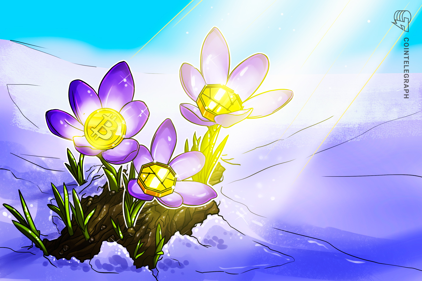 Bitwise видит сигналы восстановления крипторынка в данных третьего квартала