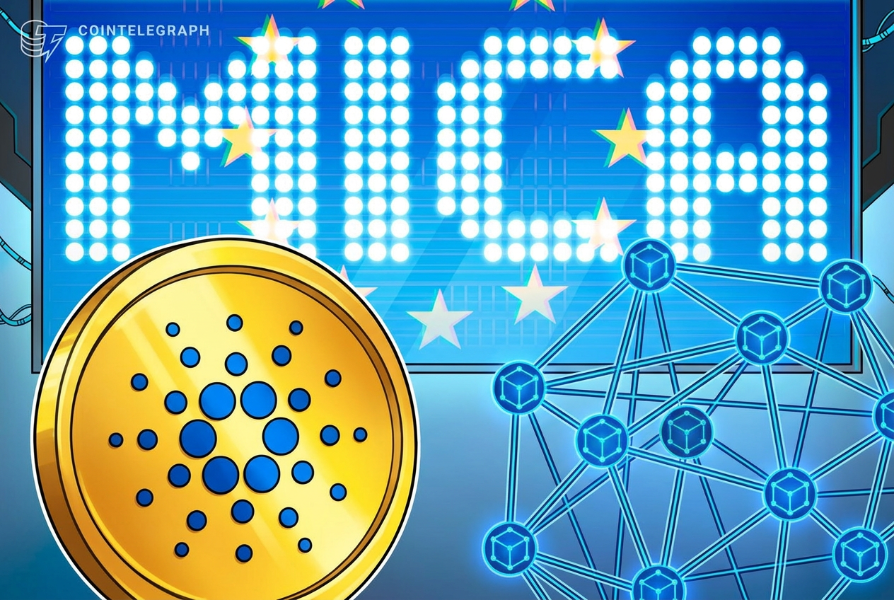 Cardano Foundation выступила против расширения MiCA на DeFi и стейкинг