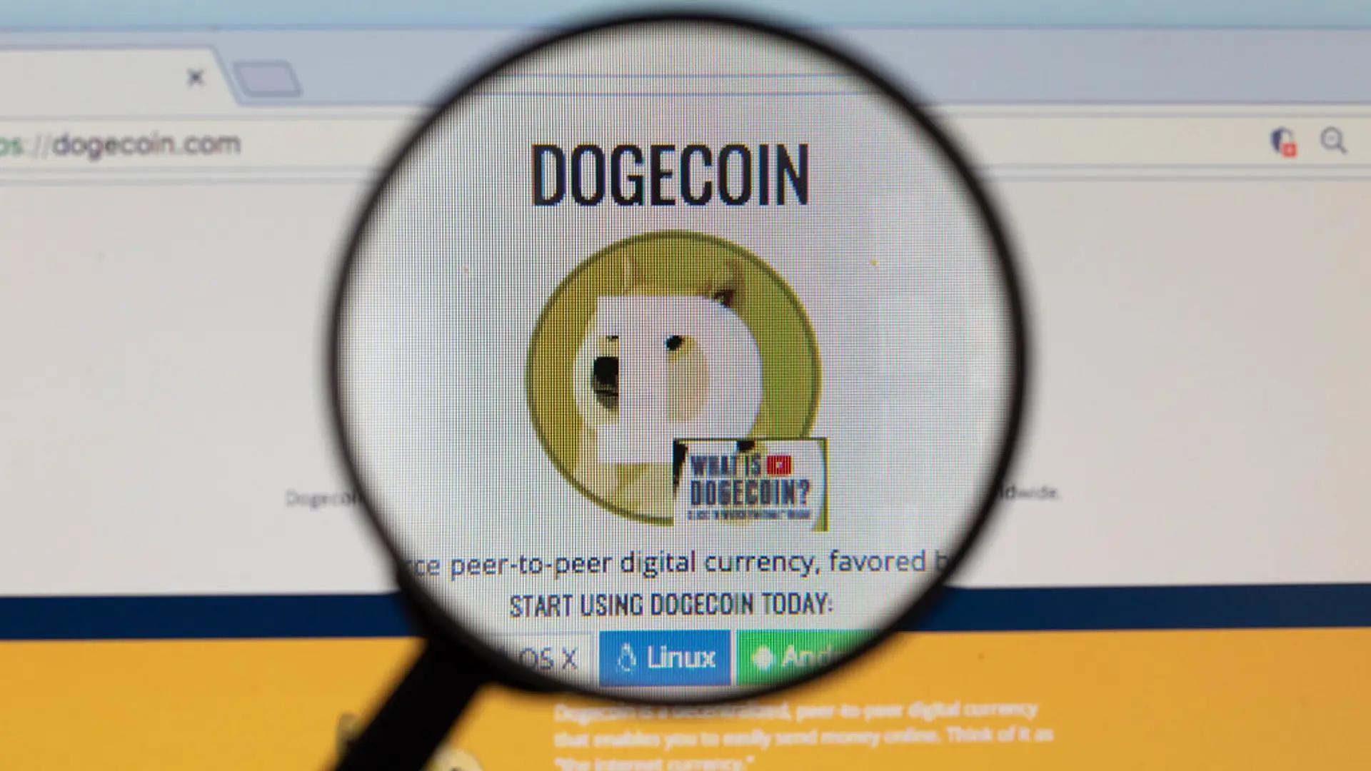 Биржевой фонд на Dogecoin закрывается из-за слабого спроса